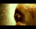 PDVD_1770