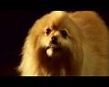 PDVD_1776