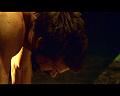 PDVD_2022