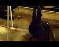 PDVD_2105