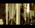 PDVD_2141