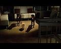 PDVD_2249