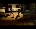 PDVD_2250