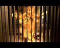 PDVD_2432
