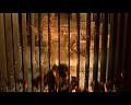 PDVD_2433