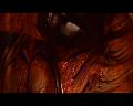 PDVD_2574