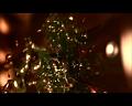 PDVD_2575