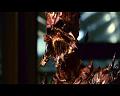 PDVD_2581