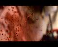 PDVD_2595