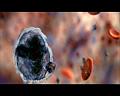 PDVD_2599