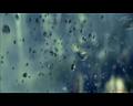 PDVD_2625