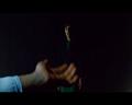 PDVD_299