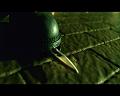 PDVD_431