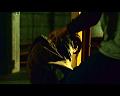 PDVD_435