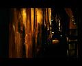 PDVD_499