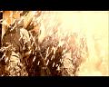 PDVD_534
