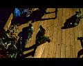 PDVD_556