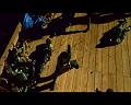 PDVD_557