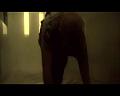 PDVD_704