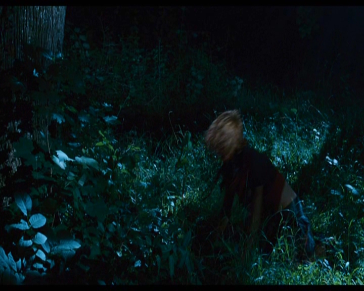PDVD_124.jpg