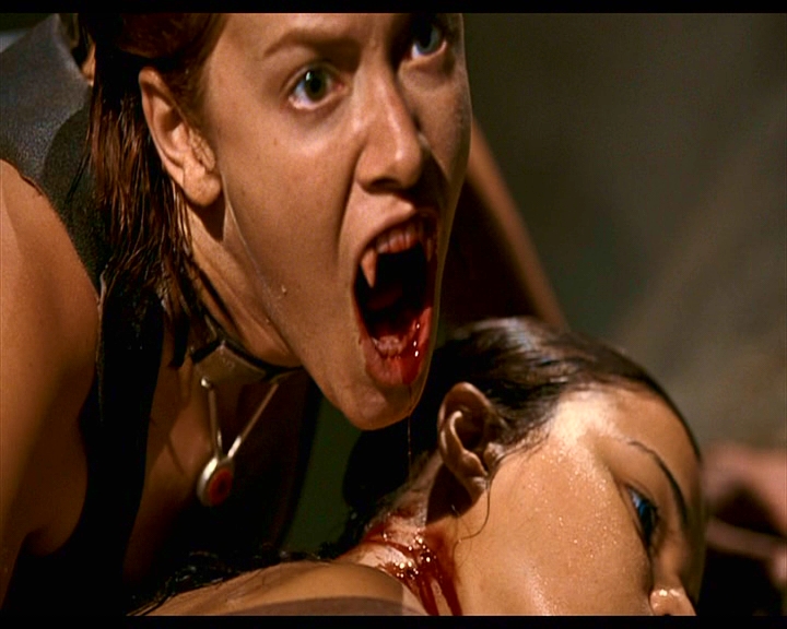 PDVD_1379.jpg