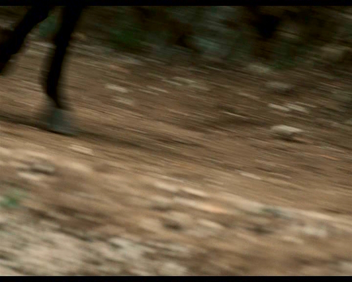 PDVD_1382.jpg