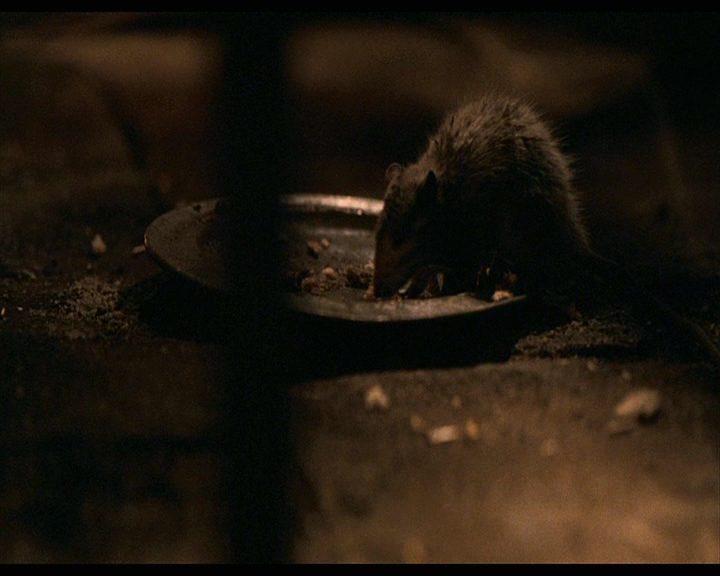 PDVD_1424.jpg