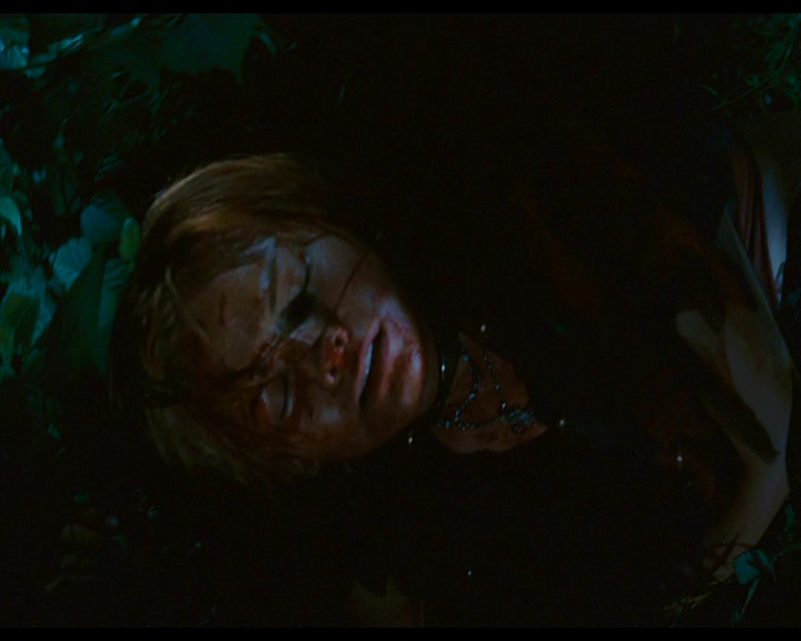 PDVD_150.jpg