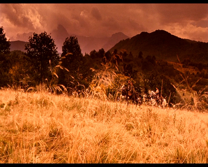 PDVD_159.jpg