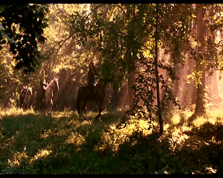 PDVD_164.jpg