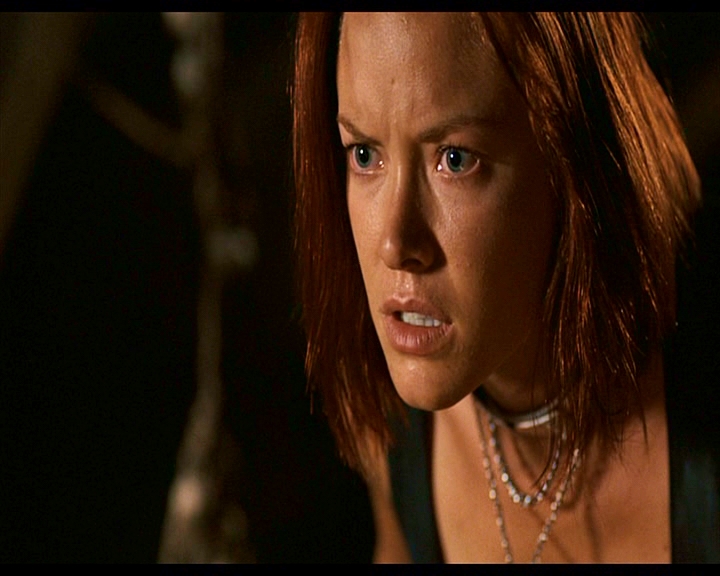 PDVD_340.jpg