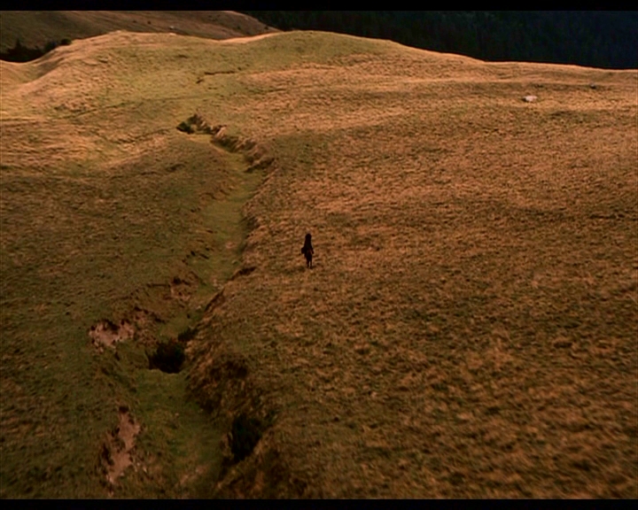 PDVD_378.jpg
