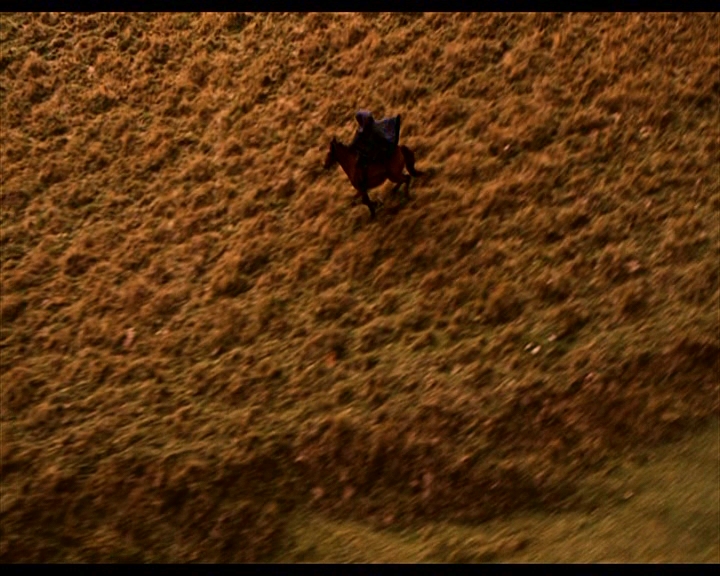 PDVD_379.jpg