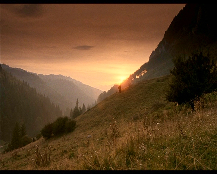 PDVD_384.jpg