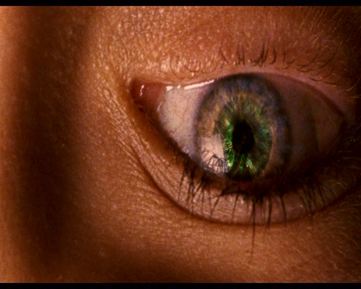 PDVD_461.jpg