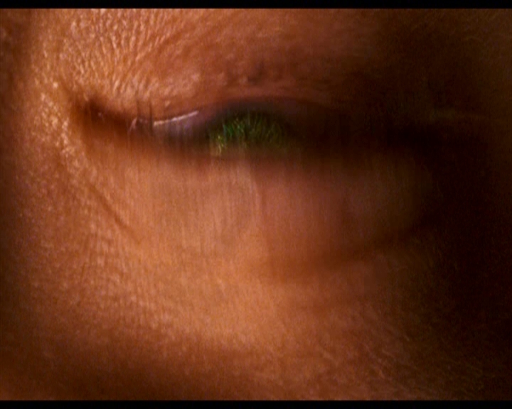 PDVD_462.jpg