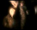PDVD_114