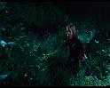 PDVD_119