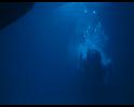 PDVD_1355
