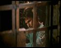PDVD_1509