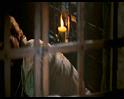 PDVD_1516