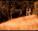 PDVD_162