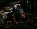 PDVD_204