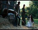 PDVD_218