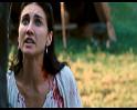 PDVD_221