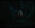 PDVD_285