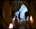 PDVD_362