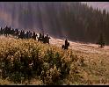 PDVD_373