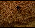 PDVD_379