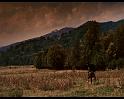 PDVD_381